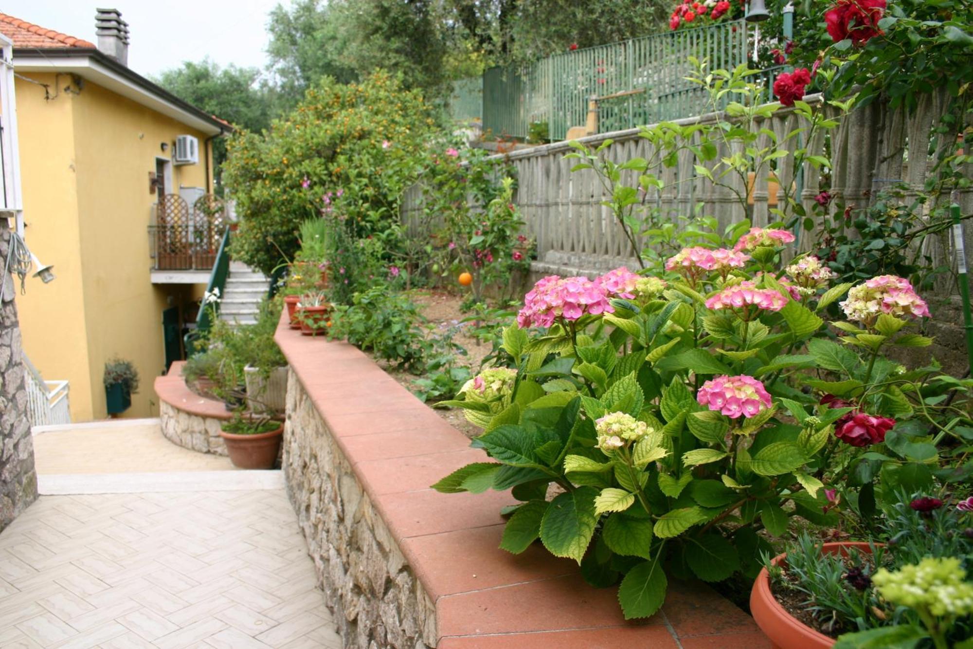 B&B La Baia Di Fiascherino Citr01101Sei-Beb-0011 Tellaro Eksteriør bilde